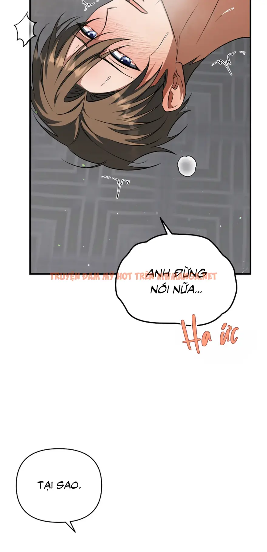 Trang 50