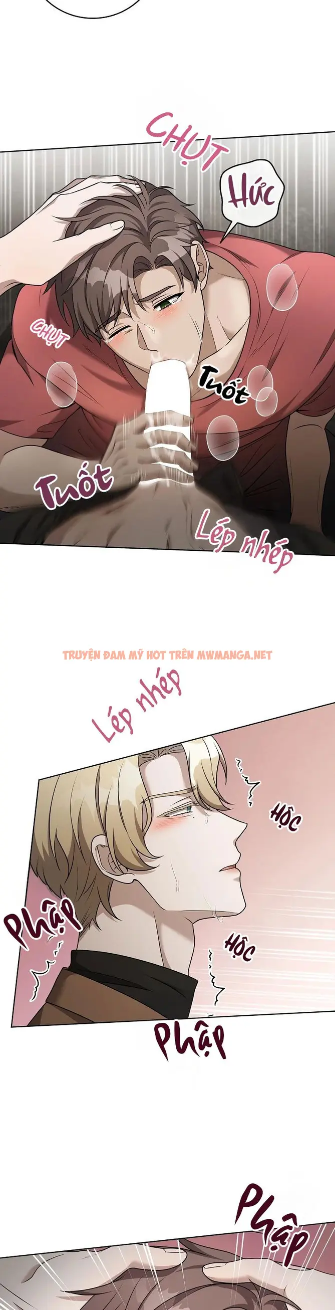 Trang 24