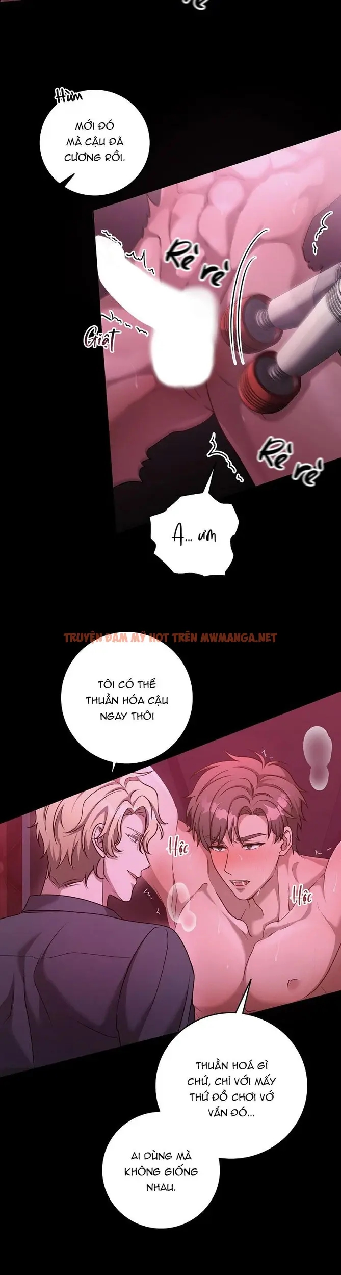Trang 16