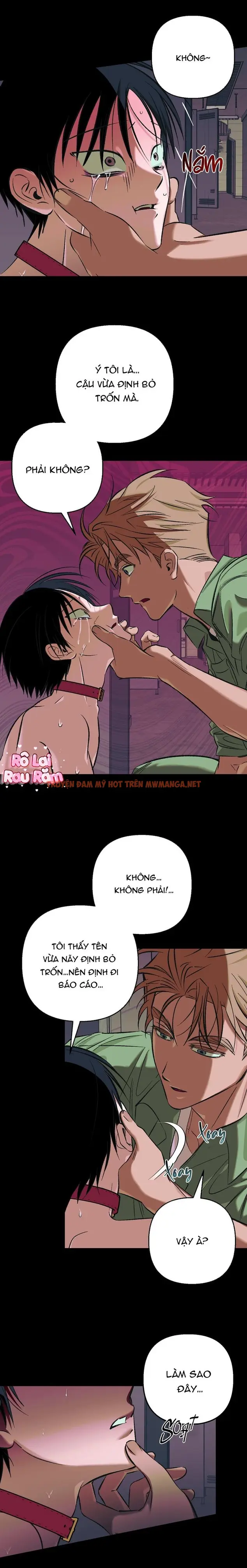 Trang 5