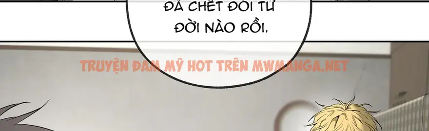 Trang 61
