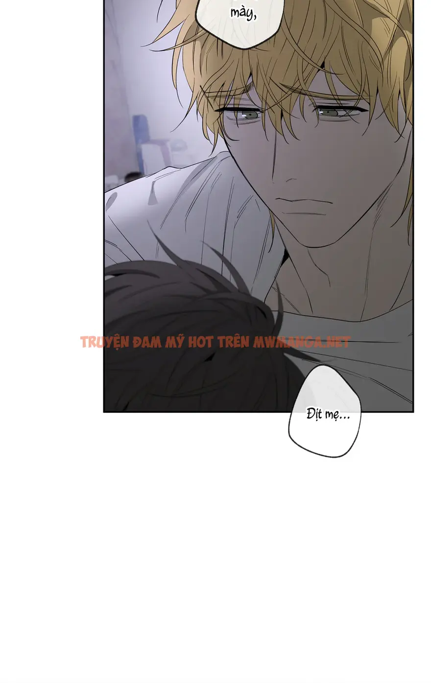 Trang 47