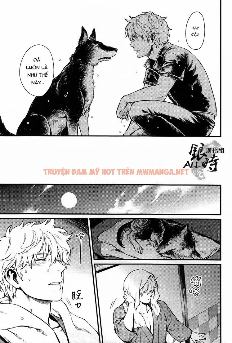 Trang 19