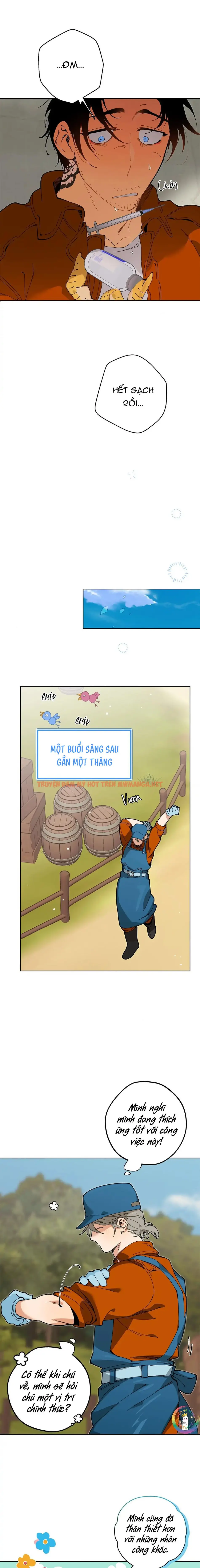 Trang 16