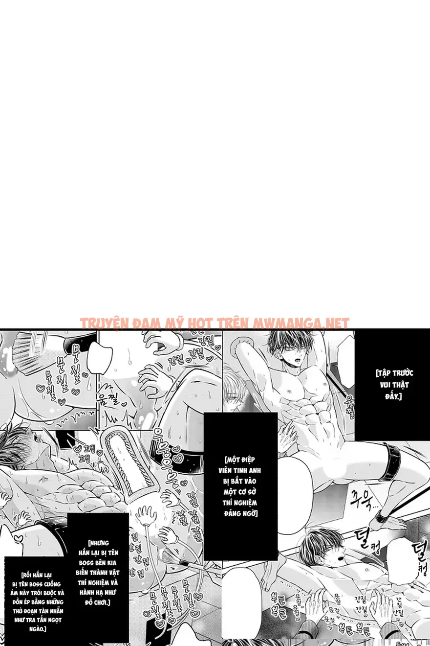 Trừng Phạt Tên Điệp Viên Kiêu Ngạo – Cù Đến Khi Lên Đỉnh - Chapter 5