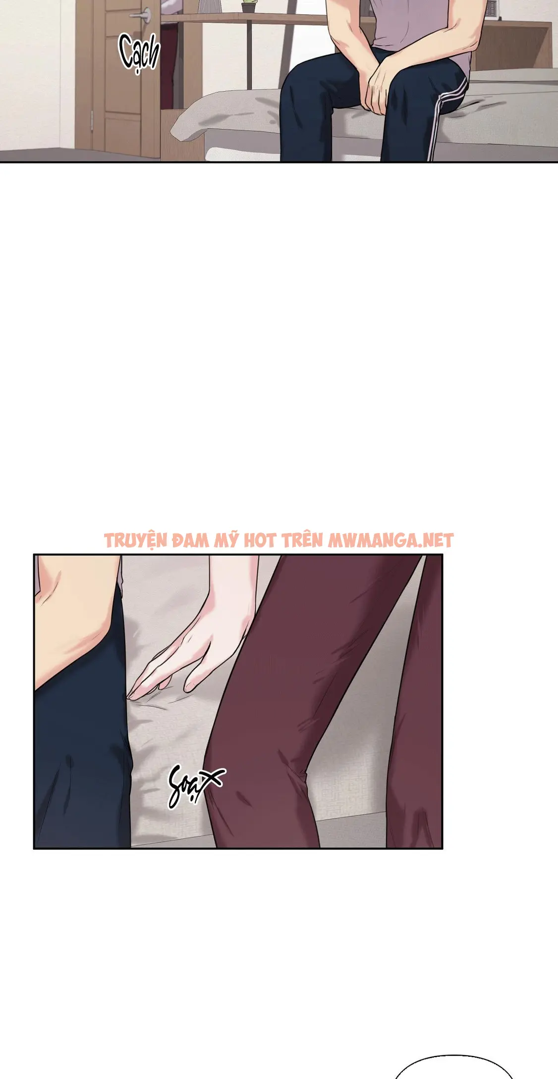 Trang 15