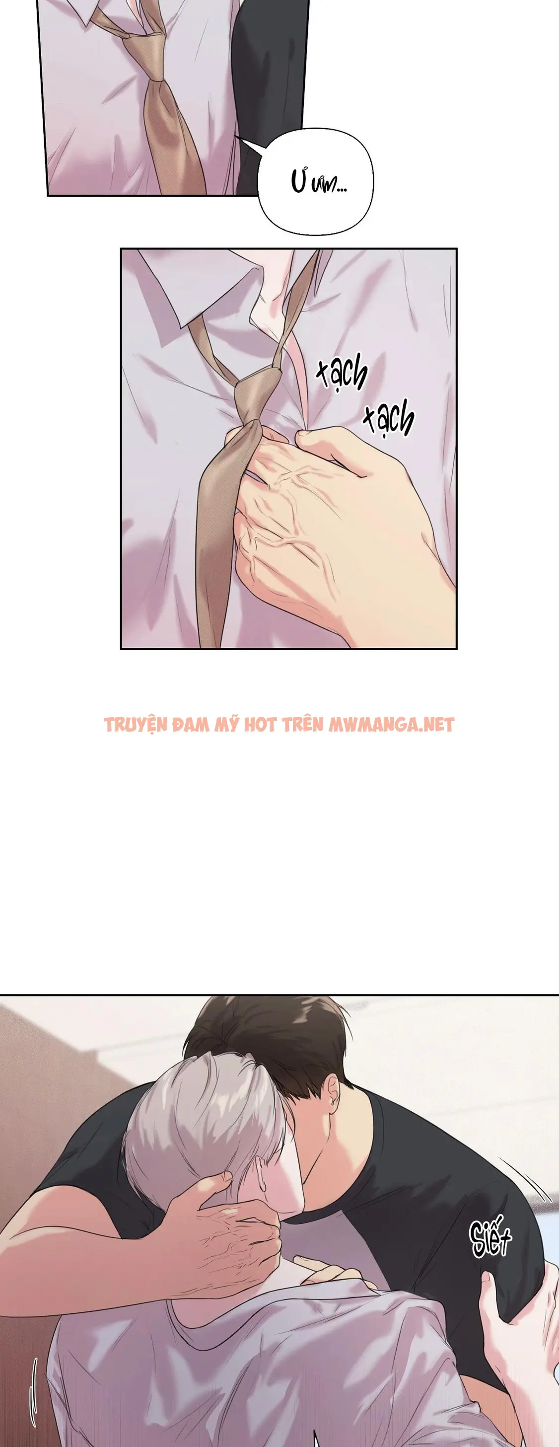 Trang 12