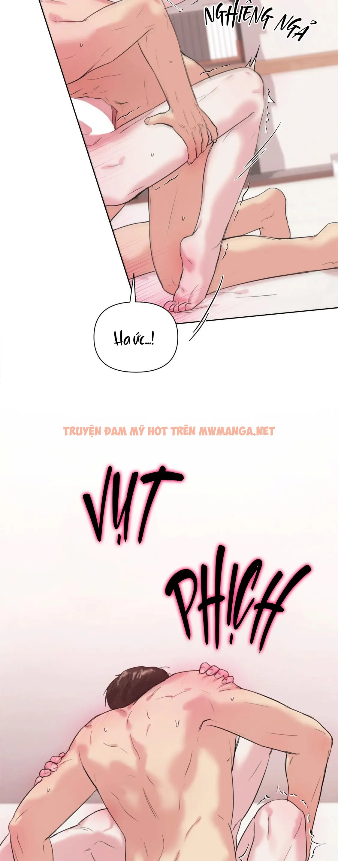 Trang 31