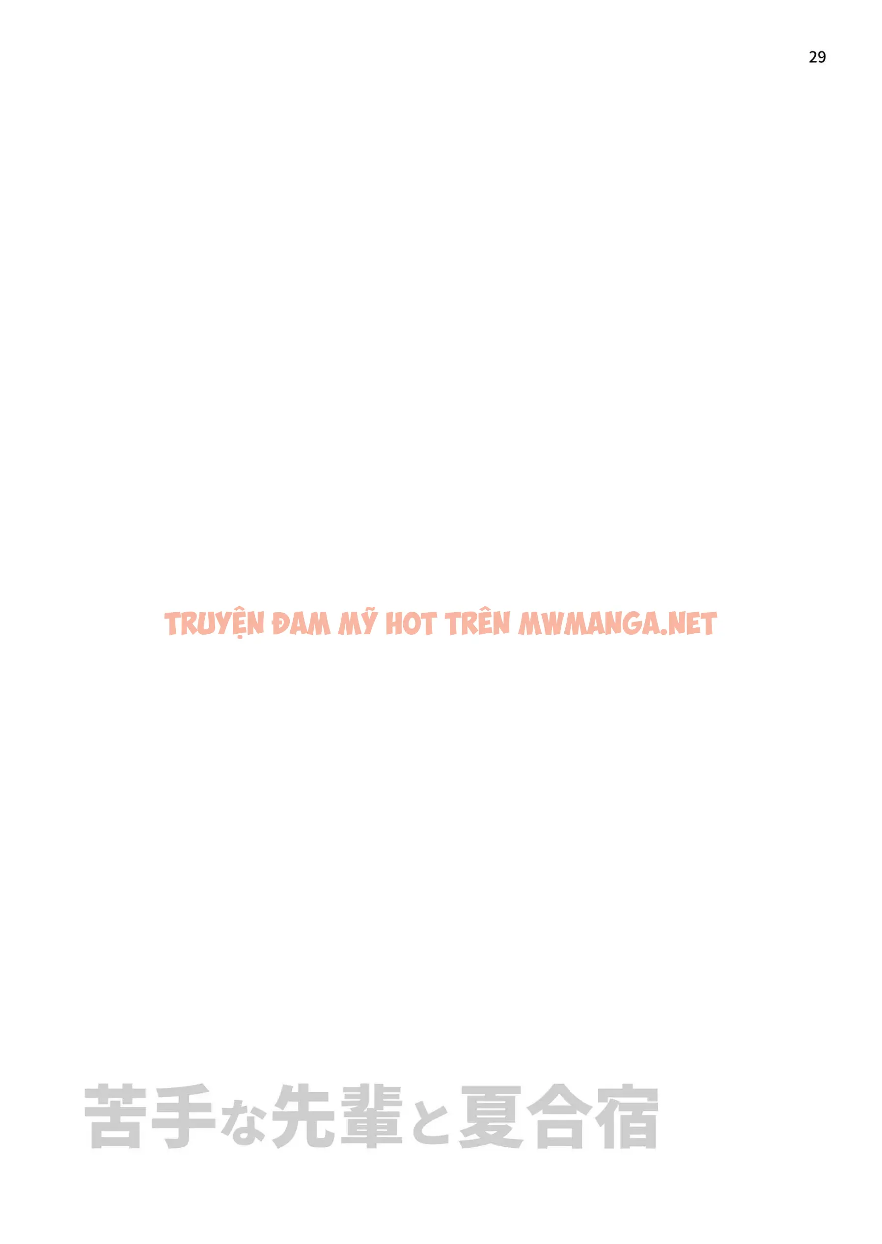 Trang 29