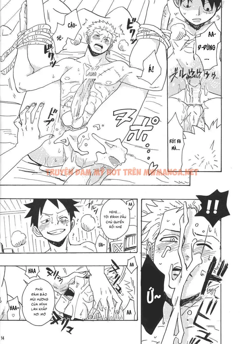 Trang 14