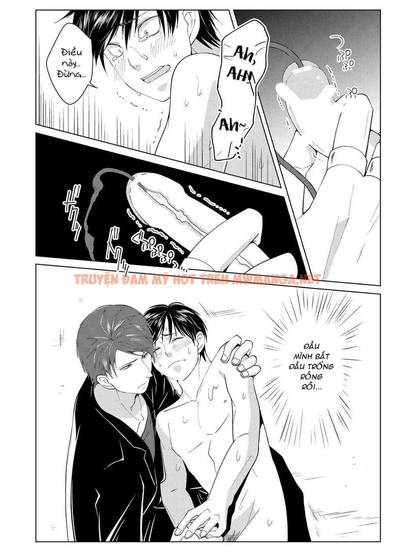 Trang 17