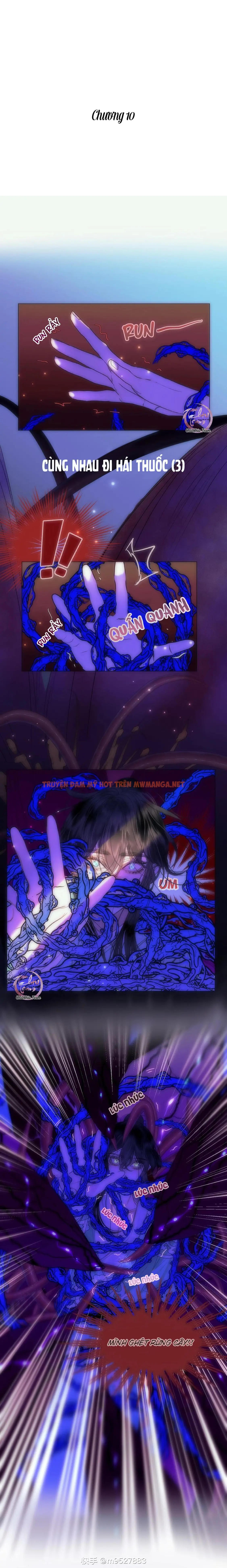 Vài Câu Chuyện Với Sư Tôn Sau Khi Xuyên Sách - Chapter 10