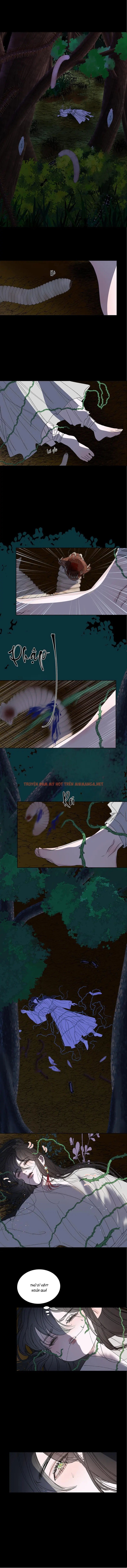 Vài Câu Chuyện Với Sư Tôn Sau Khi Xuyên Sách - Chapter 52