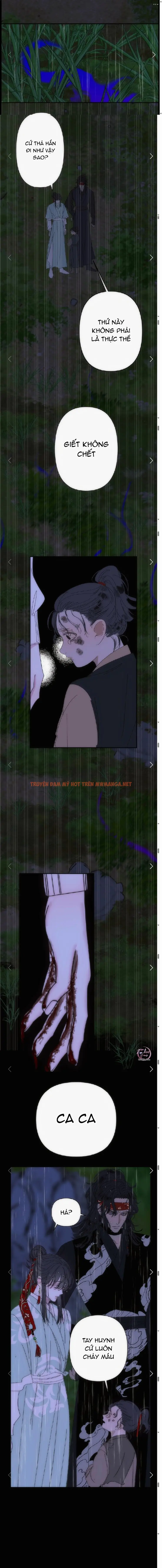 Vài Câu Chuyện Với Sư Tôn Sau Khi Xuyên Sách - Chapter 81.06