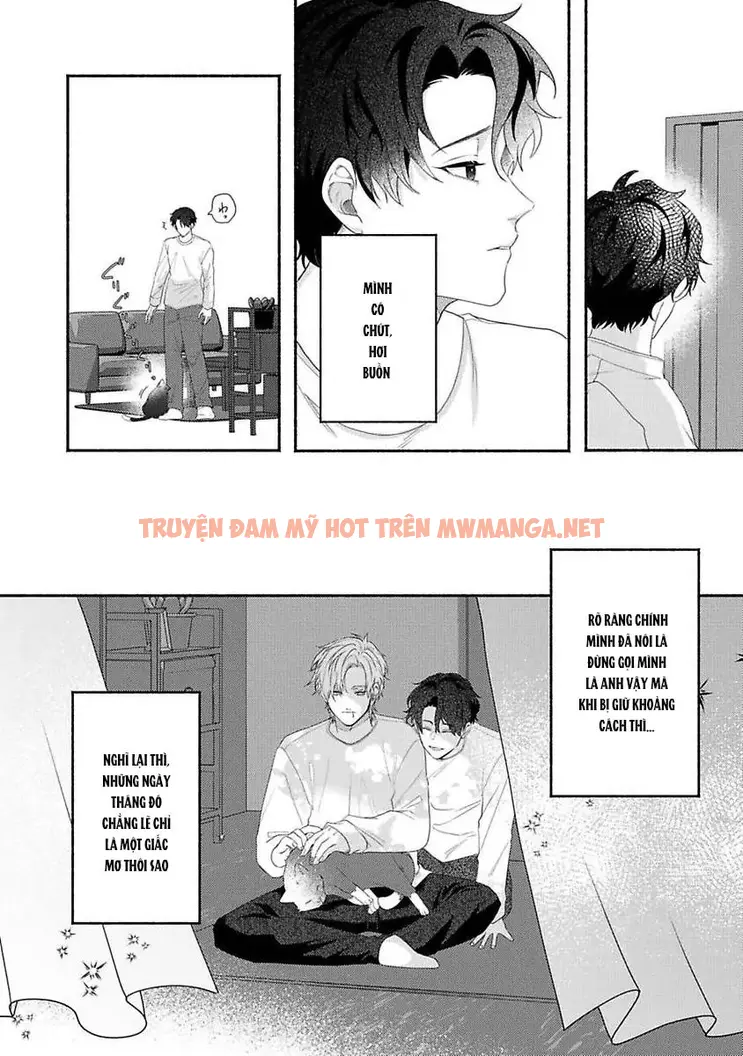 Trang 24