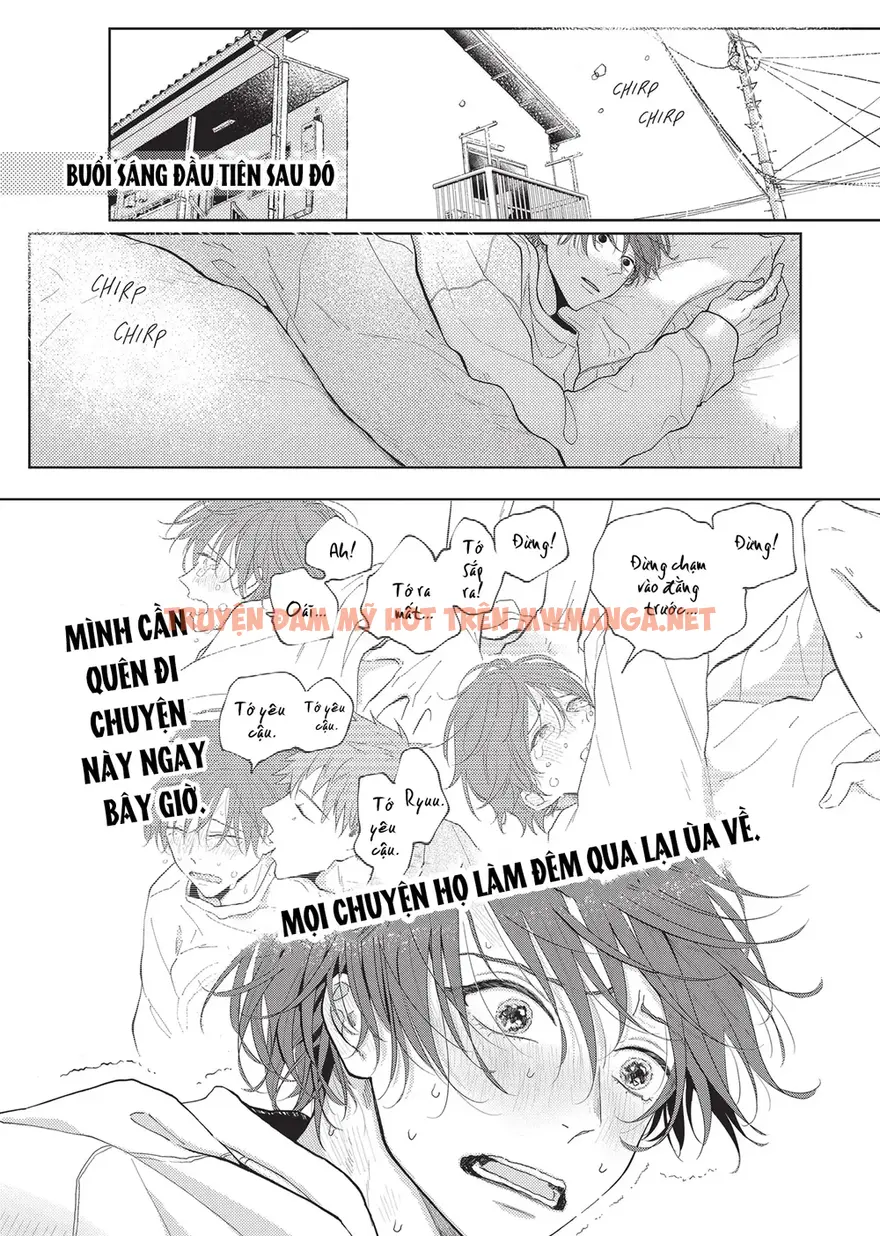 Viết Lên Mối Tình - Chapter 10.5